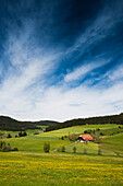 Waldau, near Titisee-Neustadt, Black Forest, Baden-Wuerttemberg, Germany