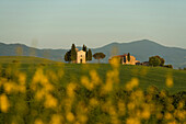 Kapelle Madonna di Vitaleta, bei Pienza, Val d'Orcia, Provinz Siena, Toskana, Italien, UNESCO Welterbe