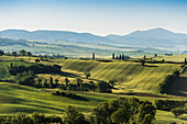Landschaft bei Pienza, Val d'Orcia, Provinz Siena, Toskana, Italien, UNESCO Welterbe