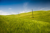 landscape near Pienza, Val d`Orcia, province of Siena, Tuscany, Italy, UNESCO World Heritage