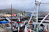 Am Hafen von Dingle, Halbinsel Dingle, Kerry, Irland