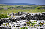 In the Burren, Clare, West coast, Ireland