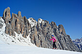 Frau auf Skitour steigt zum Corno d'Angolo auf, Cristallo, Dolomiten, Venetien, Italien