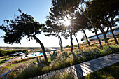 Holzsteg zum Martinhal Beach Resort & Hotel, Sagres, Algarve, Atlantikküste, Portugal, Südwestende Europas