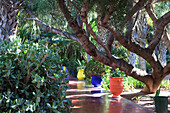YSL's garden, Majorelle Garden, Marrakech, Morocco