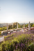 Blick über die Terrasse von einem Waldcafe auf Pfullingen und den Georgenberg, Pfullingen, Baden-Württemberg, Deutschland