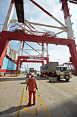 Trucks at harbor, Port of Tianjin, China