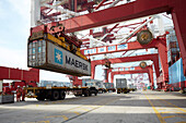 Container wird auf LKW verladen, Containerhafen Tianjin, Tianjin, China