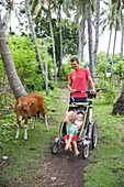 Father with his two kids in stroller, looking to brown cow, girl 5 months, boy 3 years old, parental leave,  Gili Isles, Lombok, Indonesia