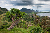 Vulkan spuckt Rauch und Asche, Rabaul, East New Britain Provinz, Papua-Neuguinea, Südpazifik