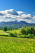 Filial- und Wallfahrtskirche St. Marinus und Anian mit Mangfallgebirge im Hintergrund, Wilparting, Irschenberg, Oberbayern, Bayern, Deutschland