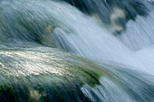 Close-up of Waldbach, Echern Valley, Hallstatt, Salzkammergut, Upper Austria, Austria