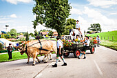 Ox-drawn cart, parade of a traditional Bavarian band, Muensing, Upper Bavaria, Germany