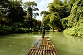 Fahrt mit dem Bambusfloß auf dem Rio Grande, nahe Port Antonio, Portland, Jamaika, Karibik