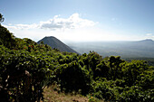 Üppige Vegetation und Izalco Vulkan, nahe Santa Ana, El Salvador, Mittelamerika