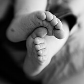 Feet of a baby girl (black and white photo using Lensbaby technique), Borden, Western Australia, Australia