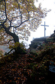 Gipfelkreuz im Wald nahe des Wüstegarten im Kellerwald bei Dodenhausen im Nationalpark Kellerwald-Edersee, Haina, Nordhessen, Hessen, Deutschland, Europa