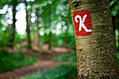 Sign of the Kellerwaldsteig hiking trail on a tree in Kellerwald-Edersee National Park, Kellerwald, Hesse, Germany, Europe