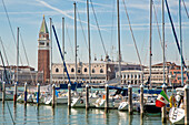Segelboote in der Marina der Isola di San Giorgo Maggiore Insel mit Blick auf Campanile di San Marco Turm und Palazzo Ducale Dogenpalast, Venedig, Venetien, Italien, Europa