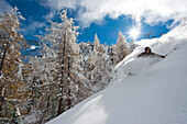 Skier downhill skiing, Hintertux Glacier, Zillertal, Tyrol, Austria