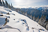 Skier in deep snow, Whistler Blackcomb ski resort, British Columbia, Canada