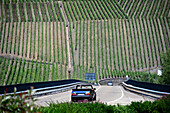 Weinberge und Bundesstrasse bei Ürzig an der Mosel, Hunsrück, Rheinland-Pfalz, Deutschland