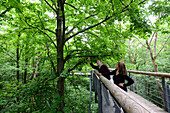 Treetop runway in Nationpark Hainich, Thuringia, Germany