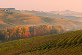 An autumnal sunrise viewed from Piedmont's Langhe hills , Barolo, Piedmont