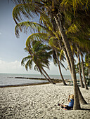 Palm trees on Smather's beach in Key West, Florida