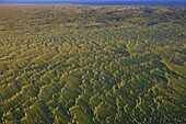 Fen and the Boreal Forest near McClelland Lake , north of Fort McMurray, Alberta, Canada. This area has been leased for future oil sands development.