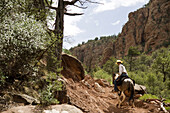 Navajo trail guide Nathan James, of Totsonii Ranch at Canyon de Chelly National Monument in eastern Arizona, leads a ride to the canyon floor. The park, still populated by Navajo farms and ranches, requires a Navajo guide for access to most of the canyon 