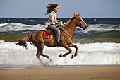 A young woman riding a horse at the beach in Punta del Este, Uruguay.