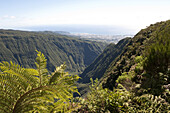 View to Saint Denis and the Ocean from the Piton Plaine des Fougeres  rainforest hike in Reunion Island. The hike borders the crest of the Salazie Cirque, one of Reunion's three cirques. On August 1, 2010 the spectacular pitons, cirques and remparts of Re