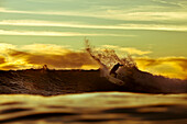 Kelly Slater rips a turn while surfing at Rincon near Carpinteria, California on January 4, 2012.  Slater surfed Rincon during a great run a swell to hit the California coast early January.