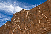 Carvings of Persian servants, Persepolis, Shiraz. Iran