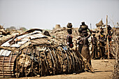 The Bumi are agro pastoralists, relying on cattle herding and floor- retreat agriculture consisting mainly of sorghum harvesting on the Omo and kibish Rivers,.Omo Valley, Ethiopia,2010