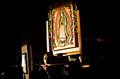 Mexico Our Lady of Guadalupe Pilgrimage.