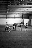 Training a horse at the University of Vermont Morgan Horse Farm. Tom Hopkins /Aurora Photos