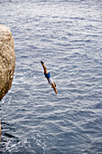 Melissa Lacasse diving over 10 meters into the ocean at Cala Sa Nau, Mallorca, Spain.
