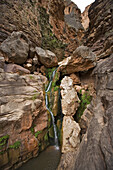 Elves Chasm, Grand Canyon, Arizona