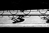 Long shadows of track cyclists cast on the concrete velodrome outside Havana, Cuba.