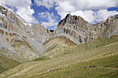 Horse caravan carries camping equipment for trekkers in high altitude Zanskar Mountains of northern India, Jammu and Kashmir State.