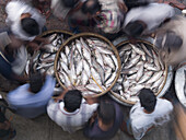 Dhaka, Bangladesh 10/23/05  At a crowded fish market in the heart of the oldest part of Dhaka, Bangladesh.