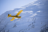 Paul Erickson flies his ski plane, a yellow Super Cub, at Portage Lake, Alaska on March 25, 2007.
