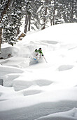 Skier in the woods sking down in fresh powder snow, Gerlos, Zillertal, Austria