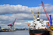 Ship docking at dock and being loaded, Waltershof, river Elbe, Hamburg, Germany