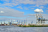 Elbe und Hamburger Hafen, Hamburg, Deutschland