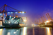 Container ships at illuminated container terminal Burchardkai at night, Waltershof, Hamburg, Germany