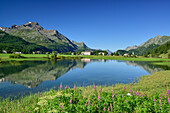 View over Inn river to Sils-Baselgia with Piz la Margna and Bergell range in background, Sils, Upper Engadin, Engadin, Canton of Graubuenden, Switzerland