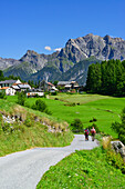 Wanderer auf dem Weg nach Bos-cha, Sesvennagruppe im Hintergrund, Unterengadin, Engadin, Kanton Graubünden, Schweiz